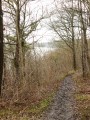 Sentier en bord de Seine