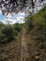 Sentier en bordure de clôture