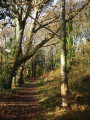 sentier en bordure de l'Anse de Combrit