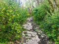 Sentier en dalles de calcaire