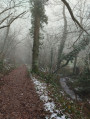 Sentier en forêt