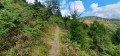 Sentier en montant au Hilsenfirst