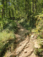 sentier en montée vers loubressac