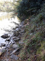 Sentier en rive de la Vendée