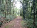 Sentier en sous-bois