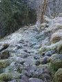 Sentier en terrasse