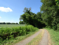 Circuit du Brandifrout à Bubry