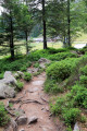 Sentier entre le Tanet et le Lac Vert