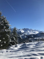 Sentier entre les sapins