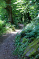 Sentier entre Metzeral et Muhlbach