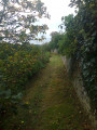 sentier entre murs de pierres sèches et hauteur sur la vallée arborée de "La Belle".