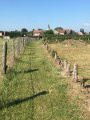 Sentier entre prairies (Juprelle)