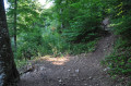 Sentier escarpé entre le "Pas du Grand Echaillon" et "Frachelongue".