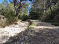 sentier et lit du ruisseau