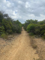 Heath trail