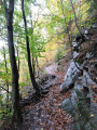 Sentier le long du Hill