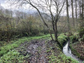 Sentier le long du ruisseau de Châlet