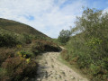 Sentier le long du ruisseau