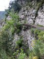 Sentier longeant la falaise