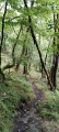 Sentier menant au Rocher du Curé