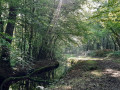 Sentier peu après le départ...