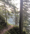 Sentier près du rocher du lac