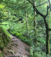 Sentier près du rocher du lac