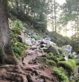 Sentier près du rocher du lac