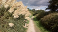 Sentier près du vivier de Banastère