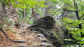 Sentier qui remonte dans la châtaigneraie.