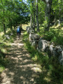 Sentier sur le tracé de l'ancienne voir romaine à Salarial