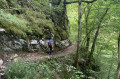 Sentier vers la résurgence de la Bidouze