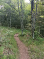 Sentier vers le Col de Judenhut