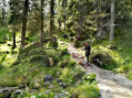 Sentier vers le Lago Fedèra