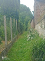 footpath