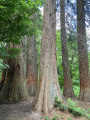 Boucle dans les Bois d'Esneux par Lagrange et Houte-si-Plout