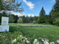 Entre Missery et Mont-Saint-Jean