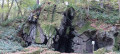 Site légendaire du Rocher du Cuy