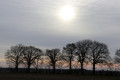 Soleil d'hiver sur la campagne diorsaise