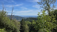 Circuit du Triebelskopf depuis Niederbruck