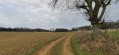 La Motte de Grammont à Bournois