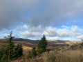 Sortie de la forêt