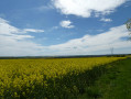 Boucle entre les villages d'Erbéviler-sur-Amezule et Sornéville
