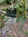 Entre causse et vallée en passant par Montvalent