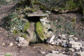 La Forêt de Plombières et la Source de la Tuilerie