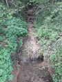 Source petrifiante