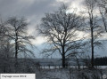 Sous Ottré - arbres de méditation