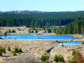 Boucle au sein du futur Parc national Nassonia depuis le Sapin Fî