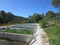 Station phyto-épuration du Pigeonnier