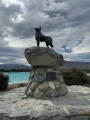 Statue de Border Collie